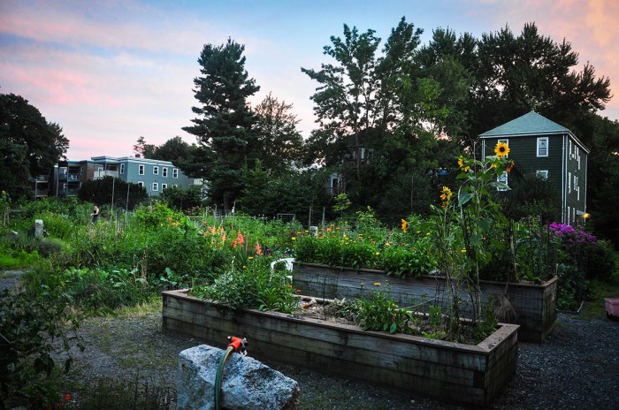 Boston Community Garden
