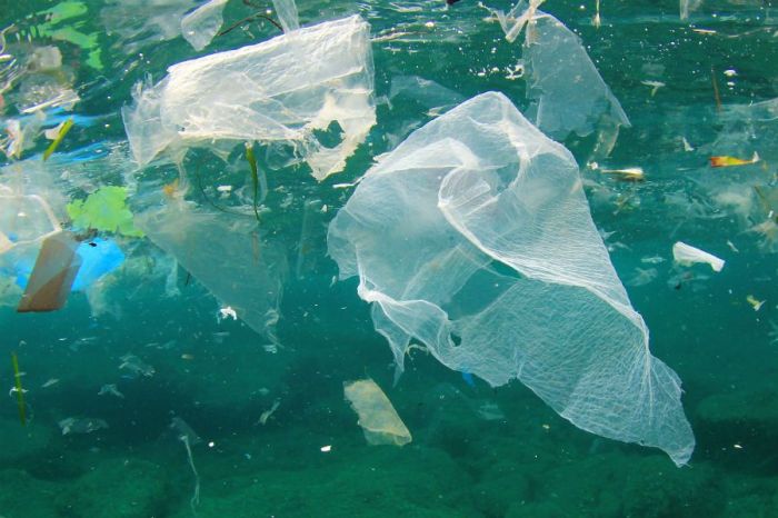plastic_bags_ocean